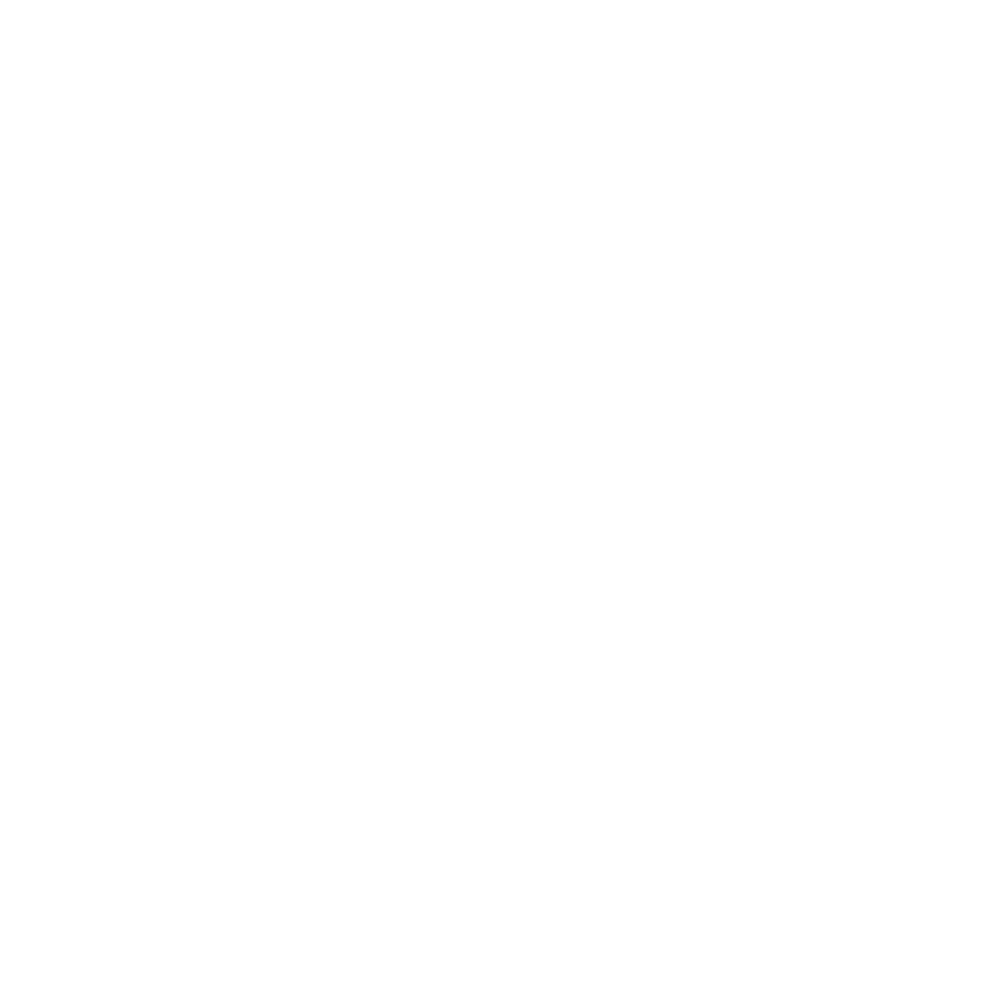TheSidneySpace logo